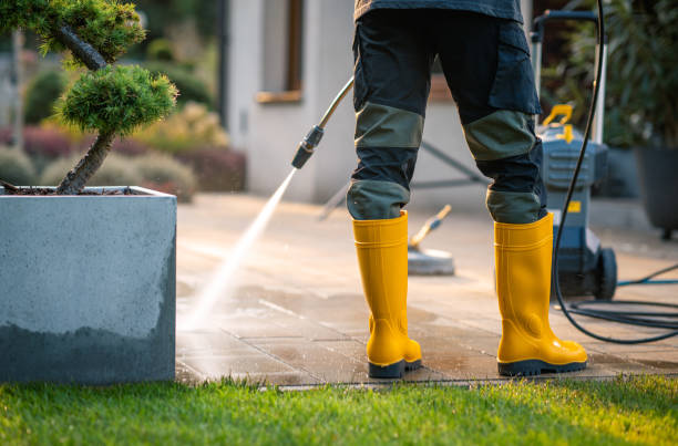 Deck Cleaning Services in Palestine, TX